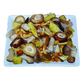 MIXTO SETAS SILVESTRES