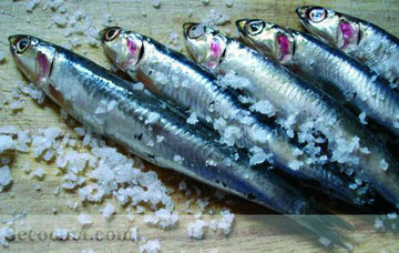 BOQUERONES
