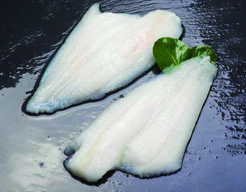 FILETES DE LIMANDA (LENGUADINA)