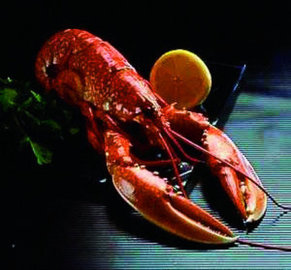 BOGAVANTE ENTERO
