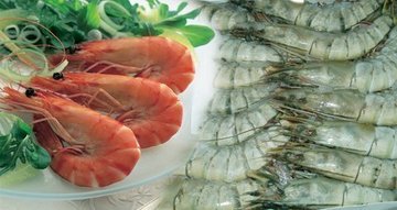 LANGOSTINO SEMIBRAVO MONODON