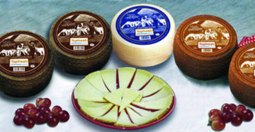 QUESO SEMI CURADO