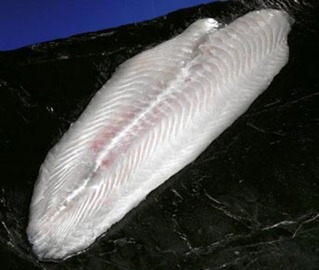 FILETE DE PANGA