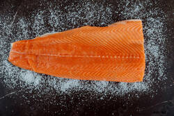 FILETE DE SALMON SALAR