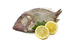 FILETE SAN PEDRO