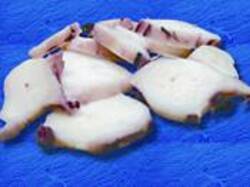 REJO DE POTON